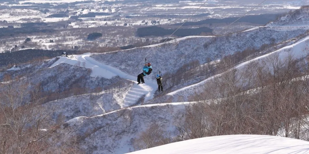 Want to feel like a migratory bird? Glide through the world of snow of a zipline