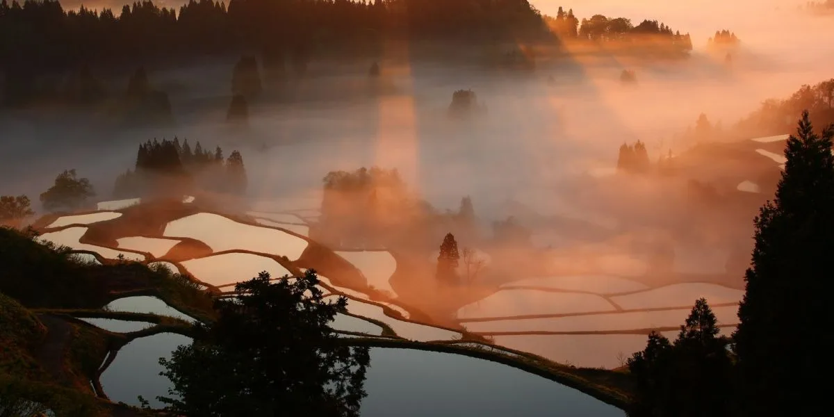 Hoshitoge Rice Terraces