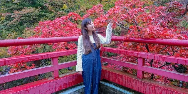 Momiji Valley, Yahiko Park