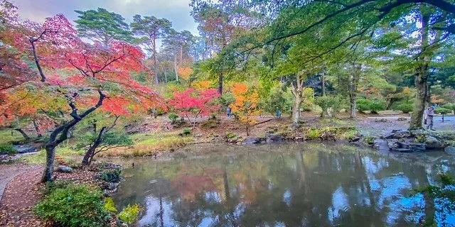 Momiji Valley, Yahiko Park