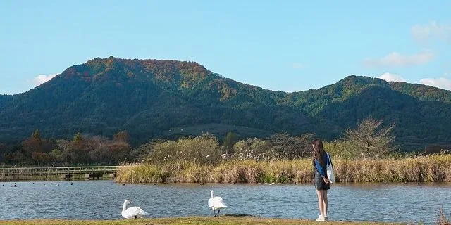 Rice Straw Art at Uwasekigata Park