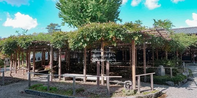 Northern Culture Museum