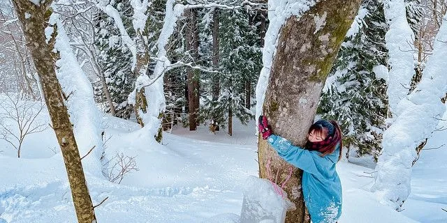 Maple Syrup Harvest Tour