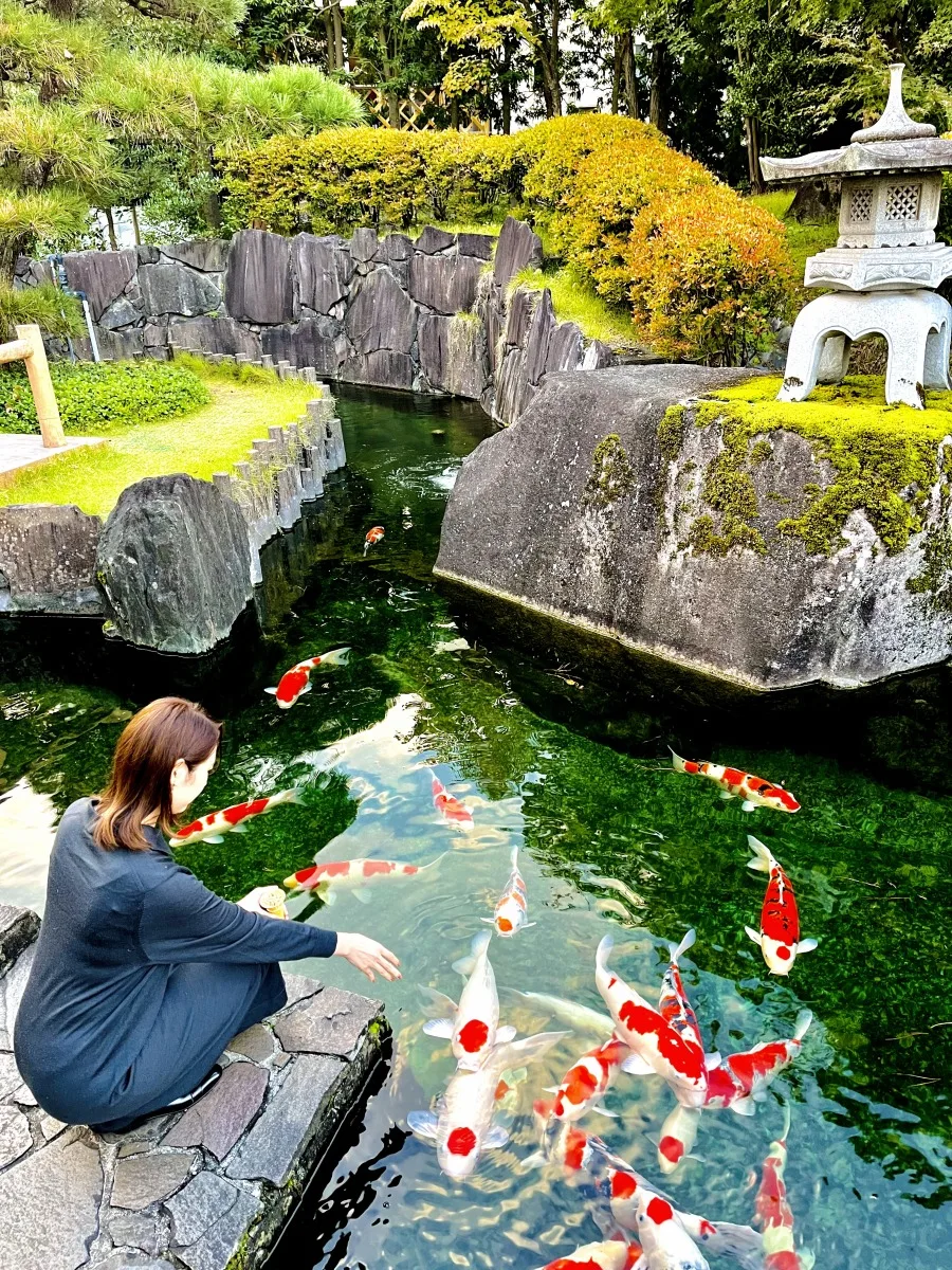 Column　Ojiya Nishikigoi no Sato ~Facility for the tourist~