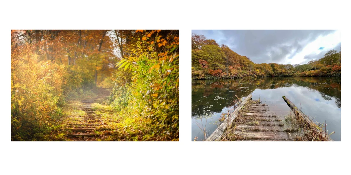 Shin-Etsu trail (By Jing Cheinhui)