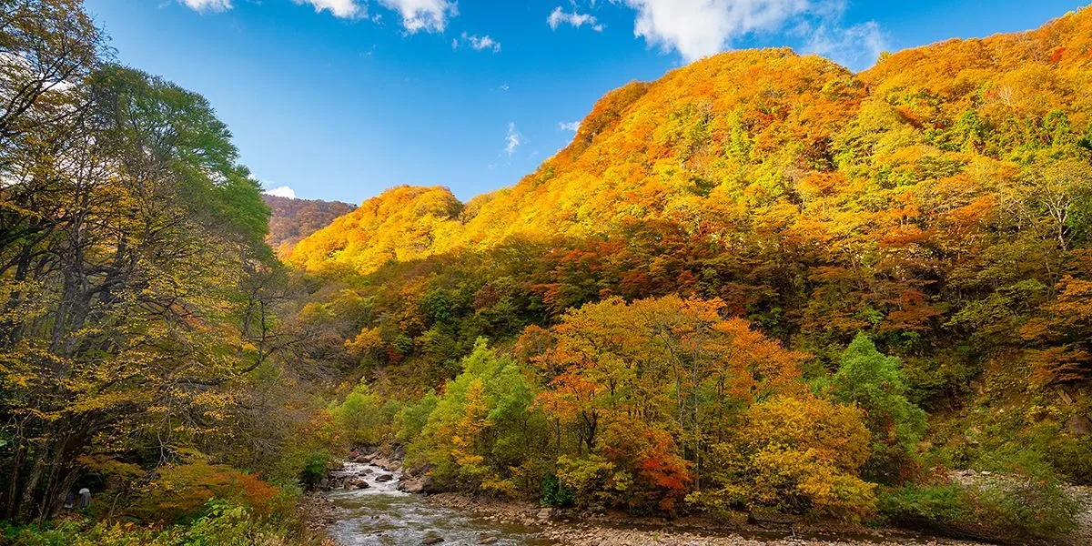 Autmn in Myoko (By Chuta Kooanantkul)