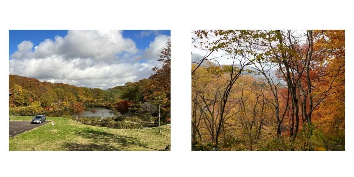 History of the trail