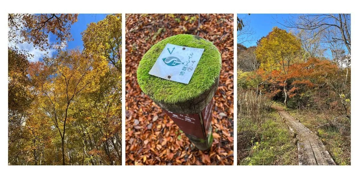 Features of the trail