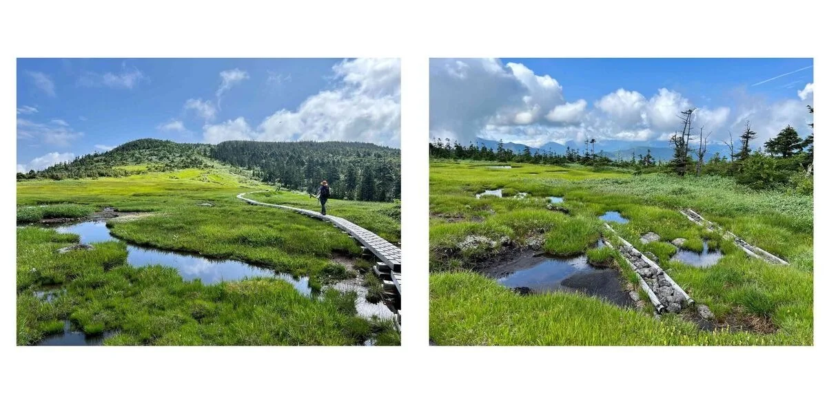 Part of the Legends of the trail