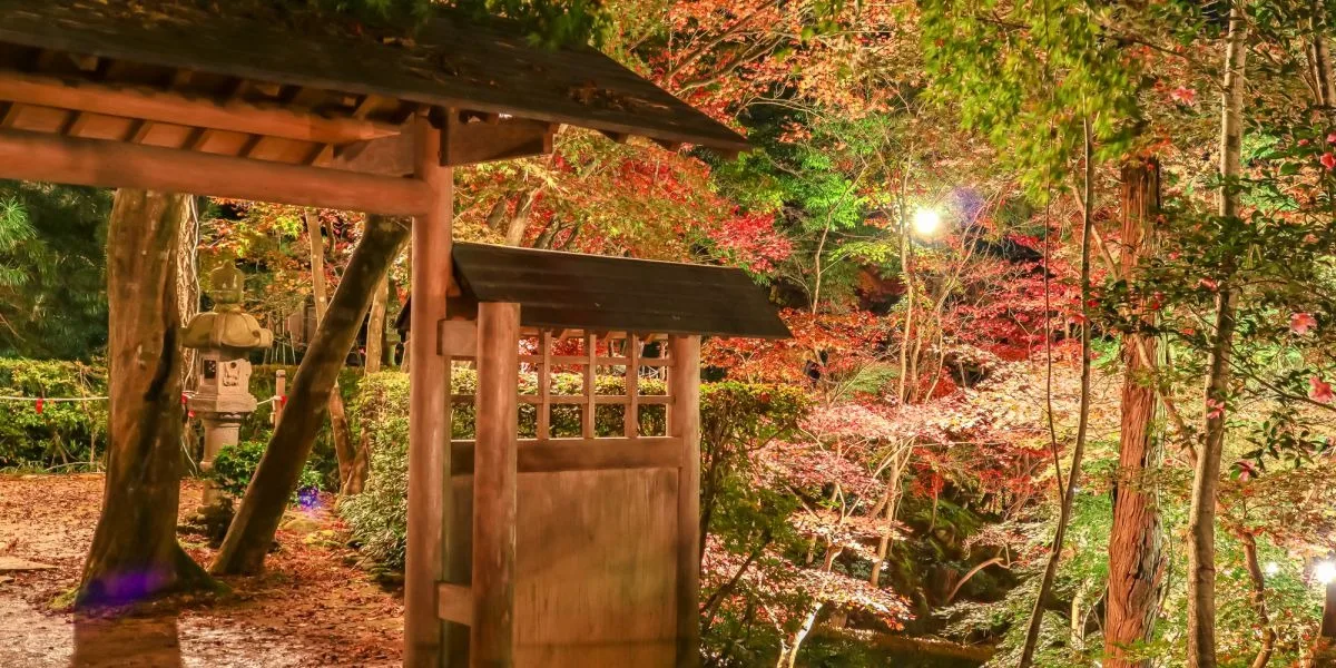 Step Into a World of Illuminated Autumn Foliage at the Shoun Mountain Villa!