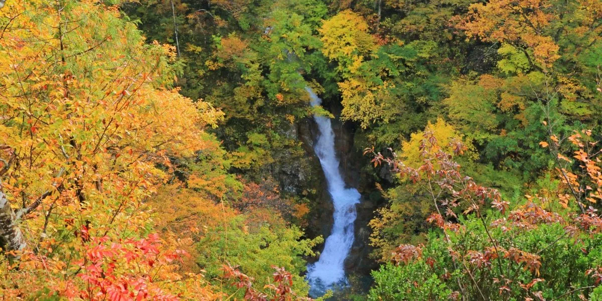 Enter a Dazzling Painting of Red Leaves at the Jabuchi Falls