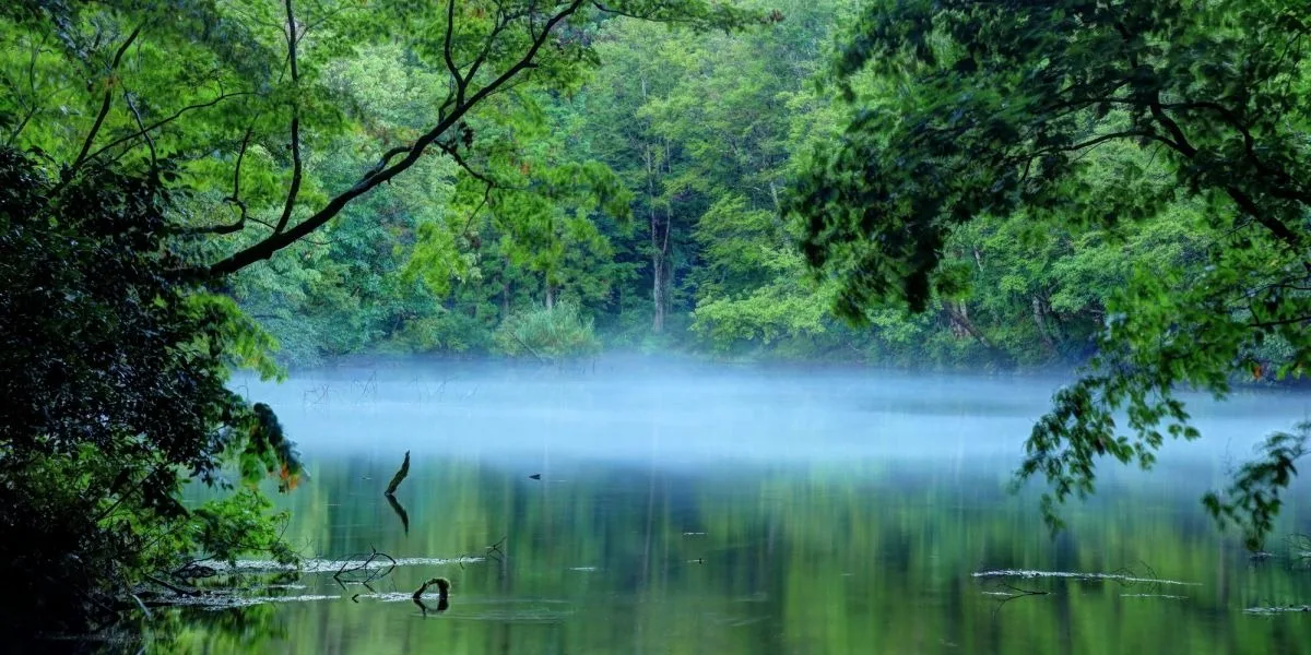 The Stunning Reflections on Ryugakubo Pond