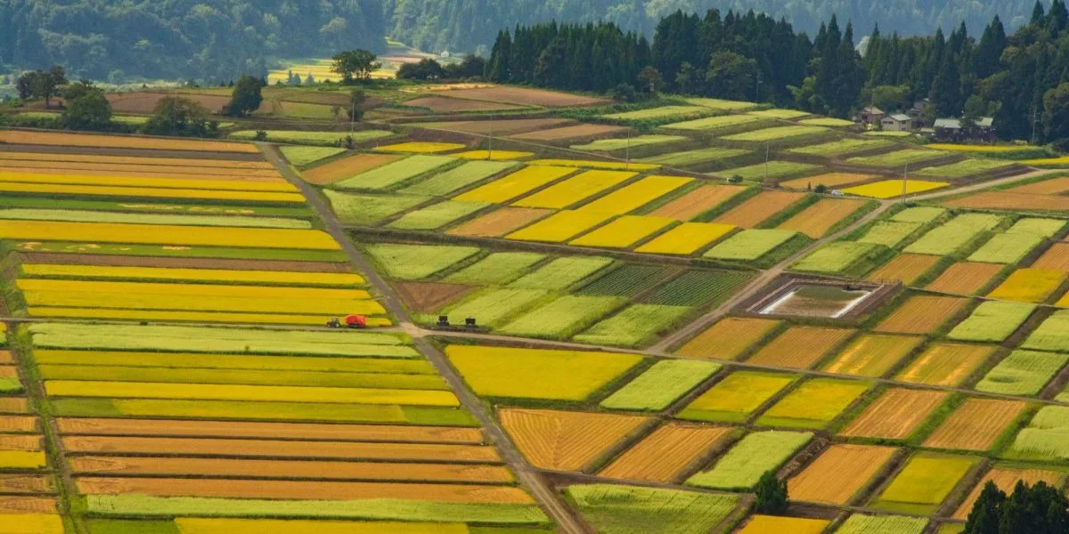 Admire the Patchwork of Nature From Mt. Yamamoto!