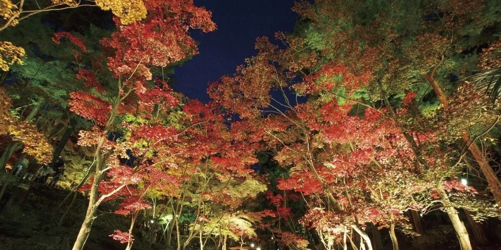 Late October - Late November: Admire the Autumn Foliage at Shounsanso (Kashiwazaki City)
