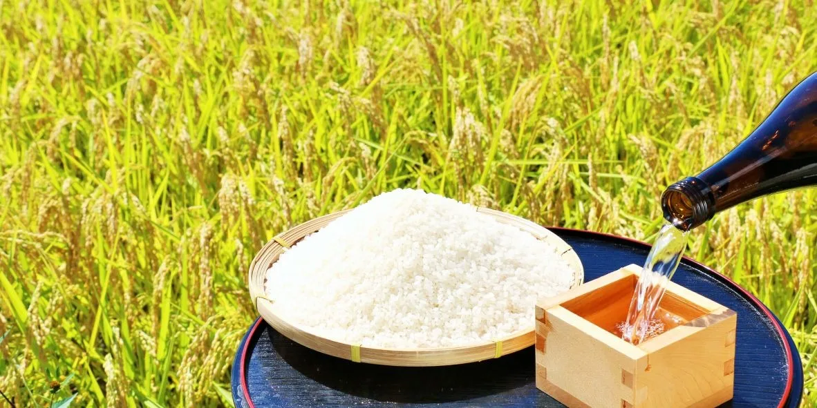 The Secret to Sake Mastery – Niigata’s Geography, Climate, and History