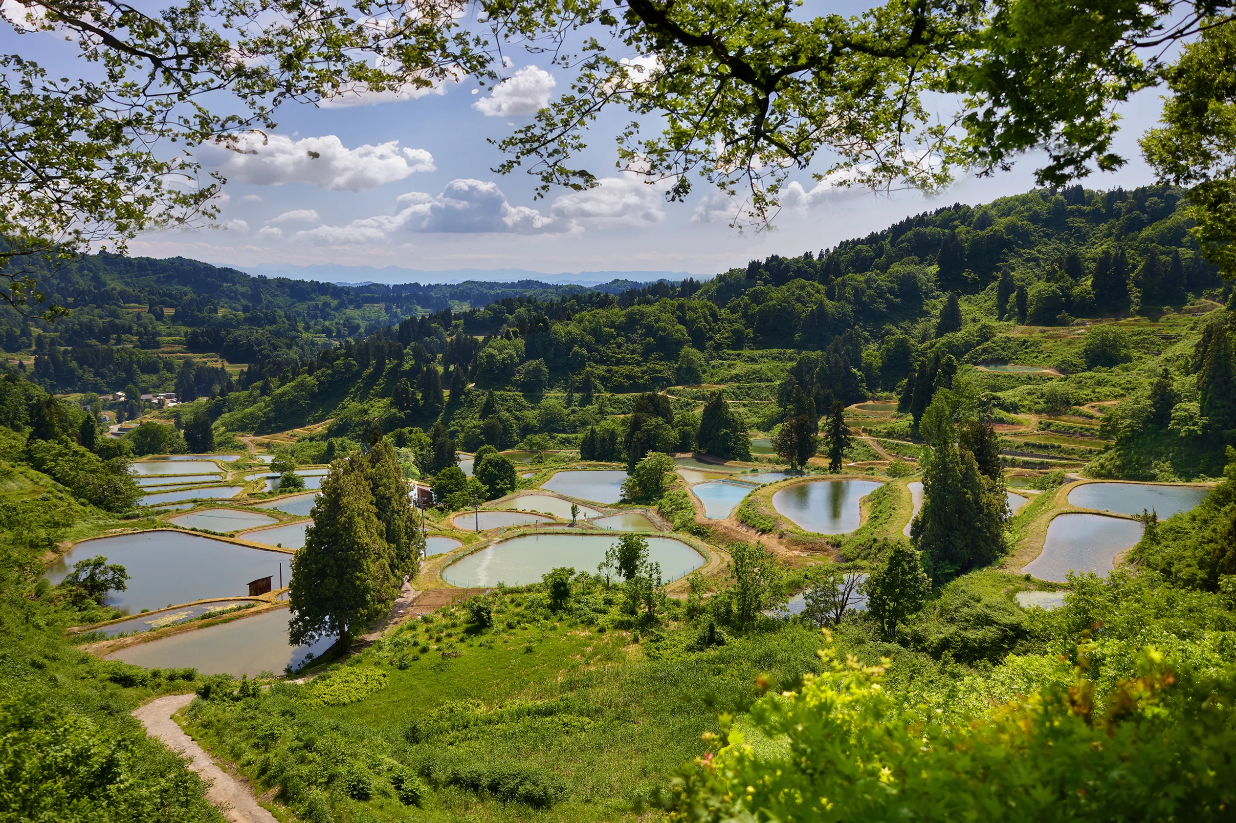 Terraced rice fields, sustainers of life in the mountain villages