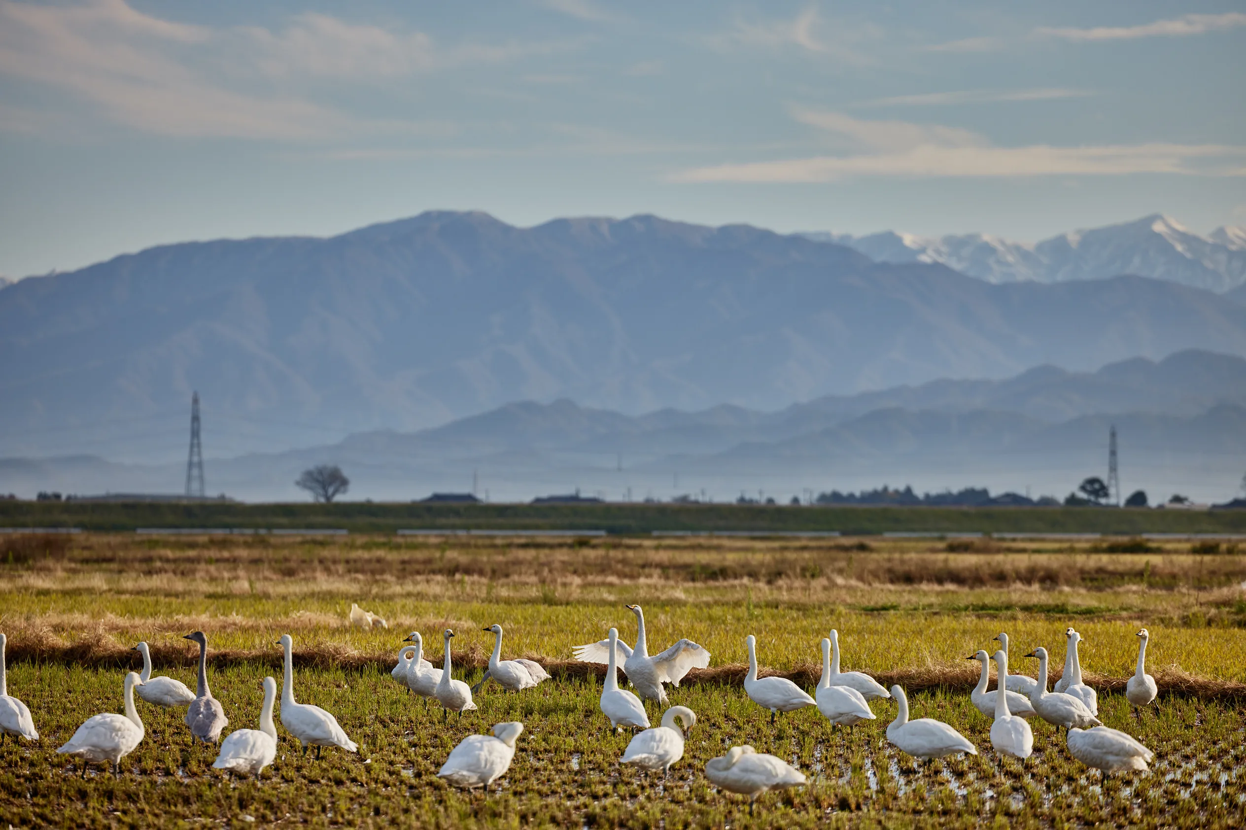 Over the epochs, a dramatic landscape of peaks and valleys emerged