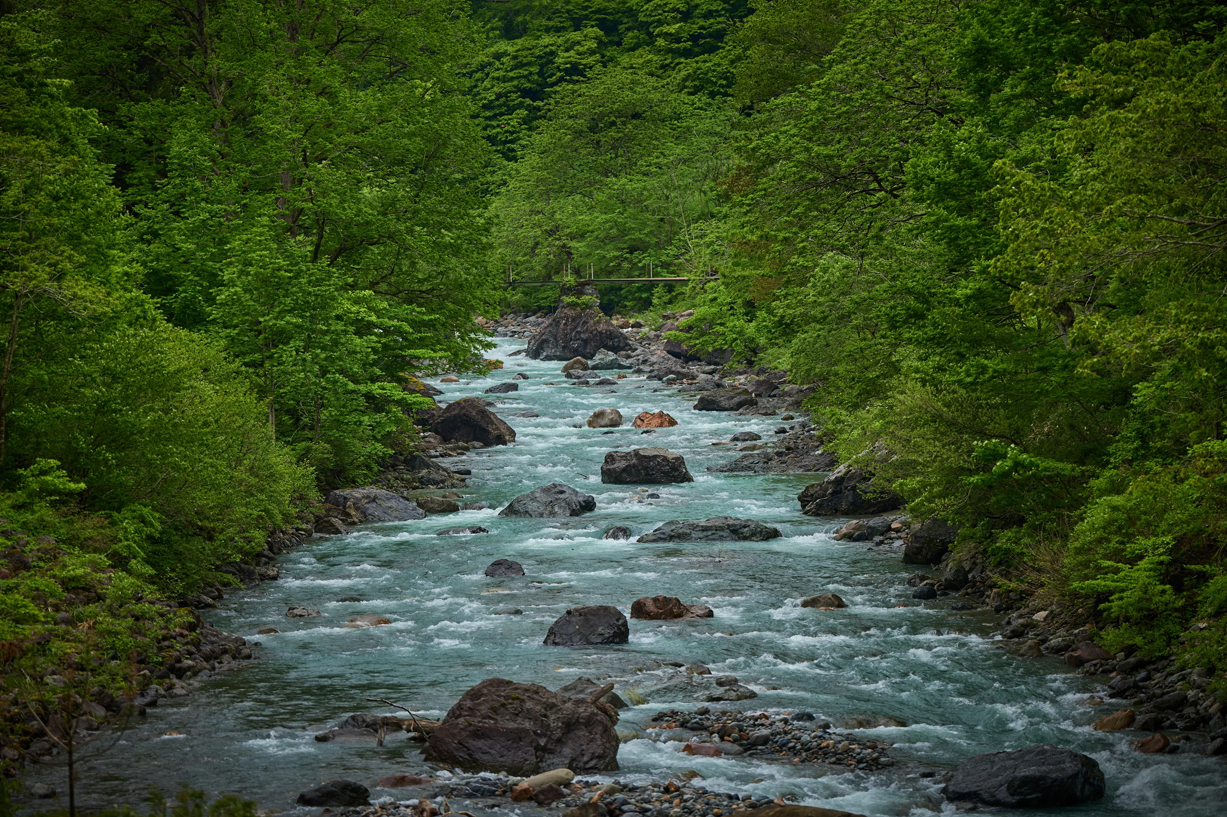 Meltwater that gushes forth and sustains life