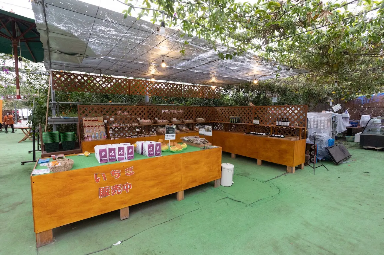 Fruit Garden Shirone Grapes Garden