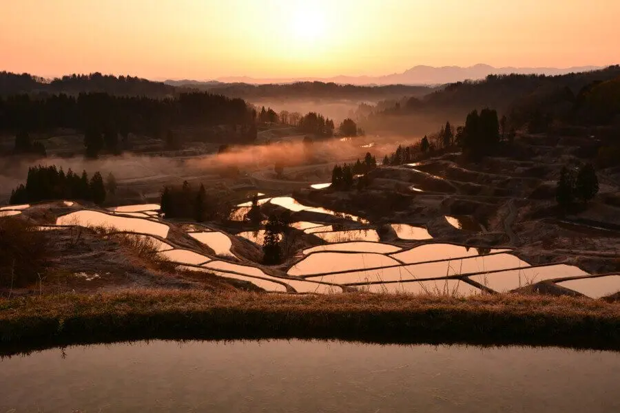 Hoshitoge Rice Terraces