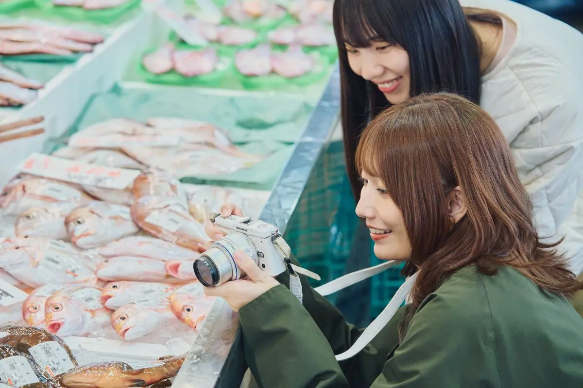 Harbor Marche Pier Bandai