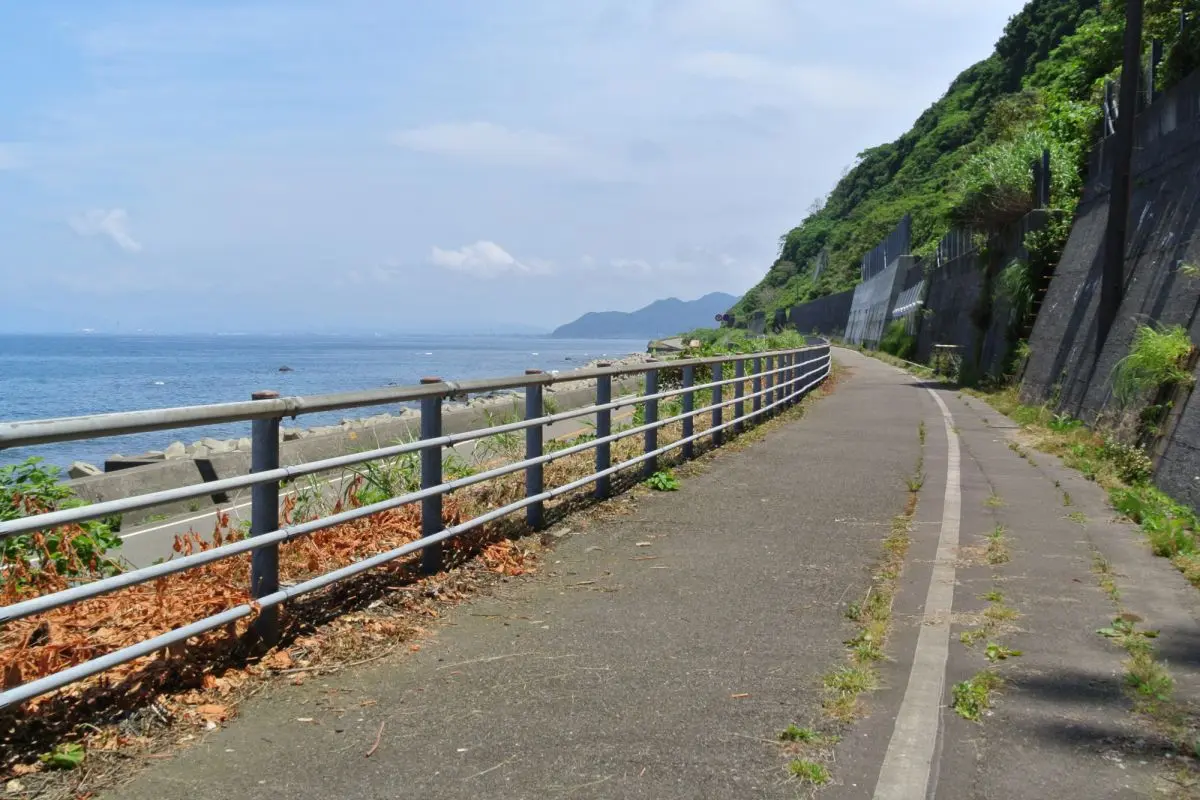 Kubiki Cycling Road