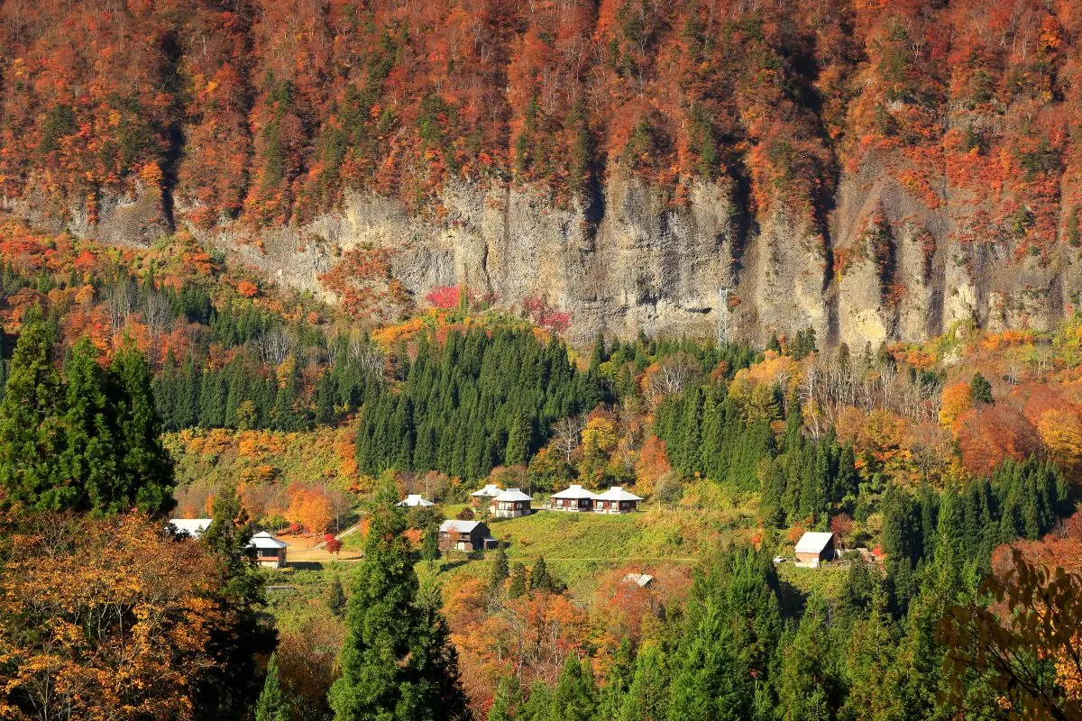 The Hidden Border Akiyamago