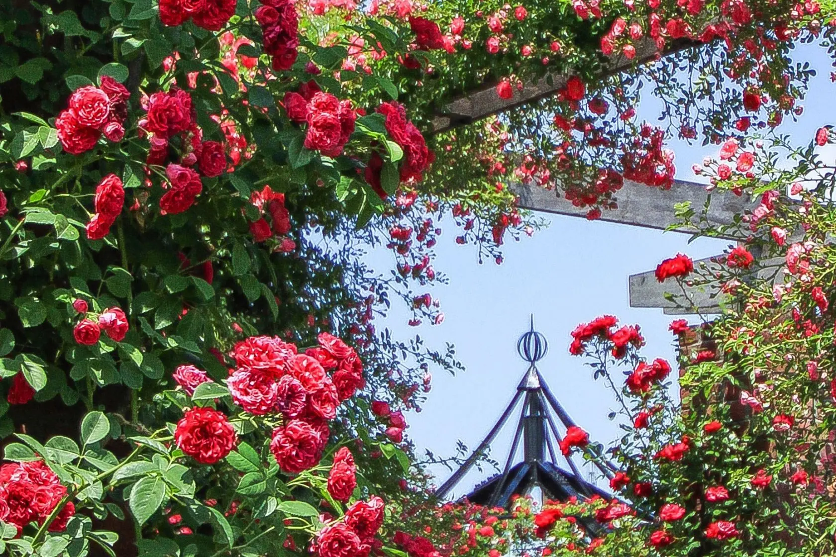 Mitsuke English Garden