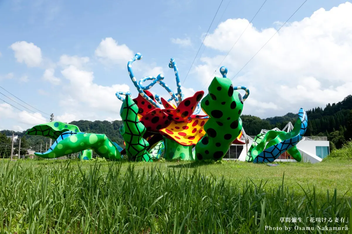 Echigo-Tsumari Art Field