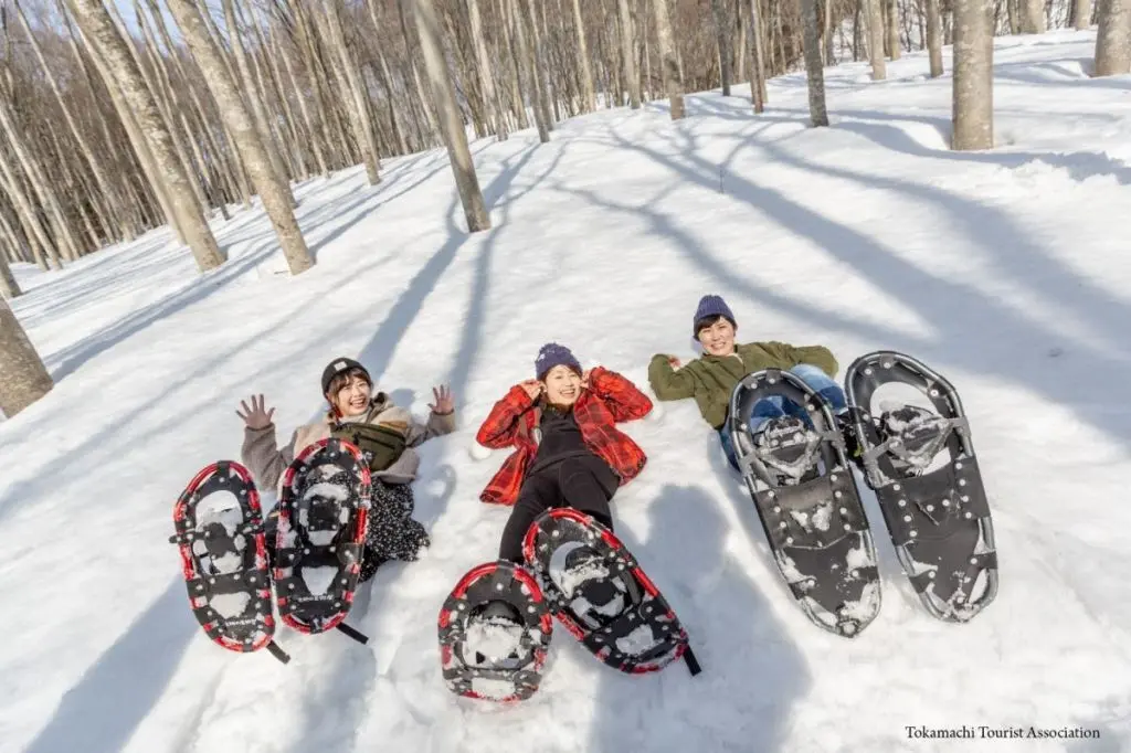 Snowshoeing in Bijinbayashi Forest