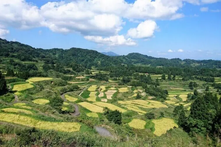 Rice Terrace Trekking