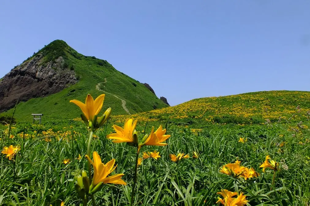 Sado Futasugame View Hotel