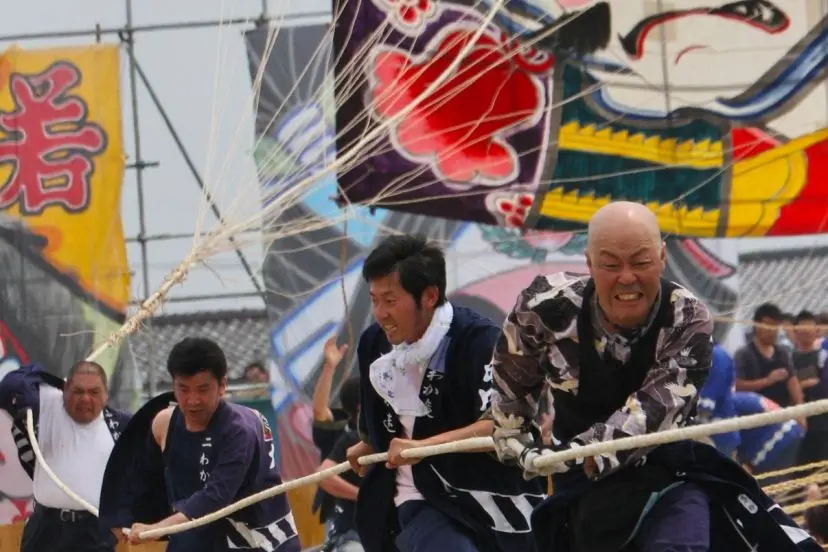 Shirone Giant Kite Battle