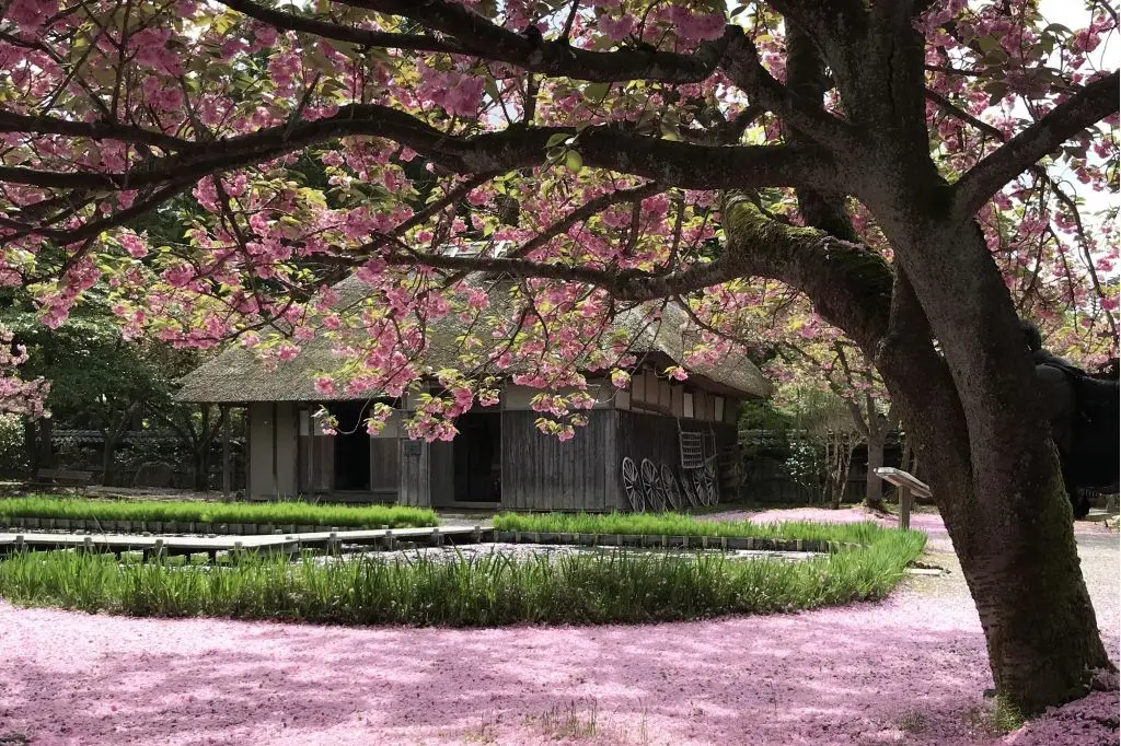 Northern Culture Museum and Ito Estate