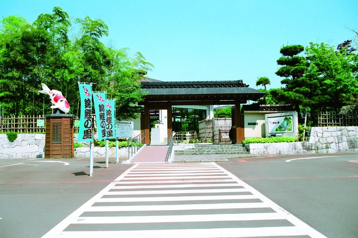 Ojiya Nishikigoi no Sato