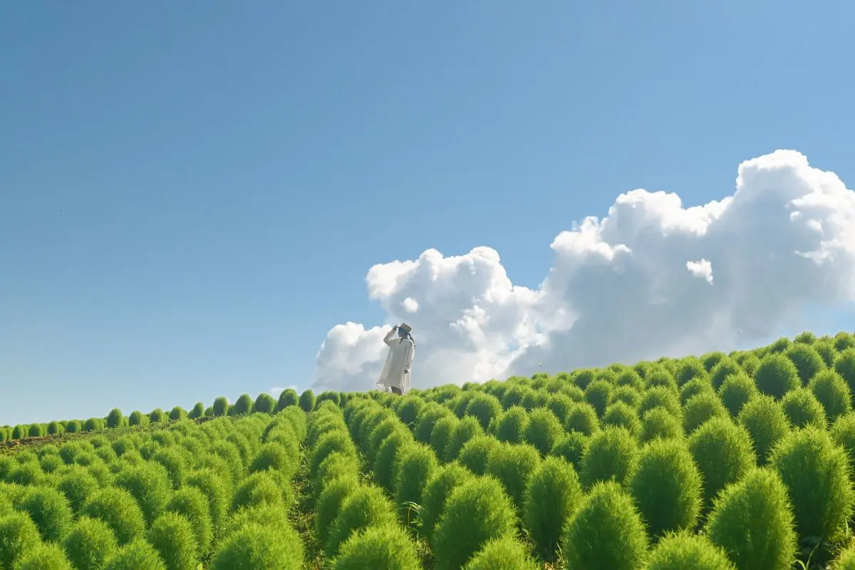 Yuzawa Kogen Panorama Park / Ropeway・Alpine Plant Garaden「Alp no Sato」