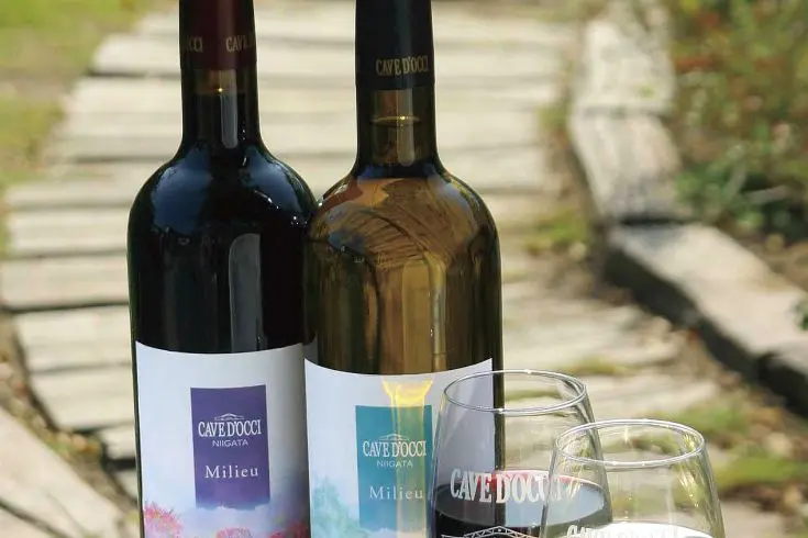 Cave D’Occi Winery and Cave D’Occi Vinespa