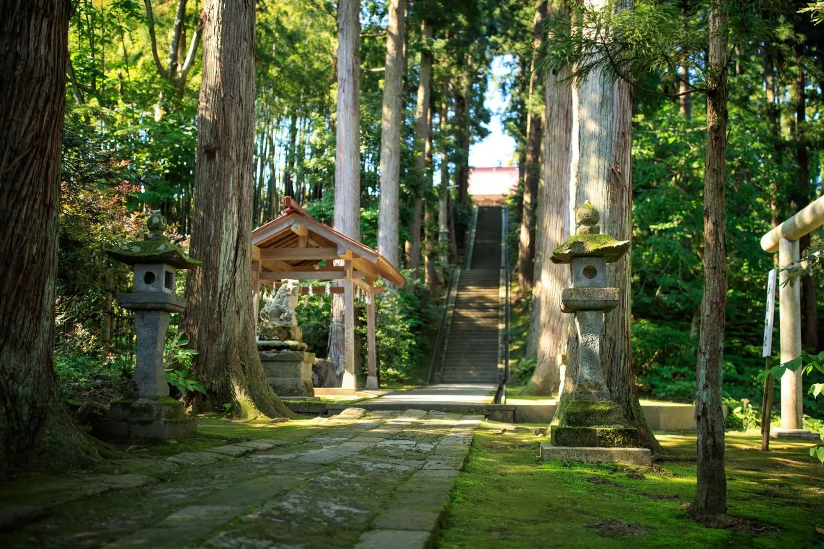 Kasuga Shrine
