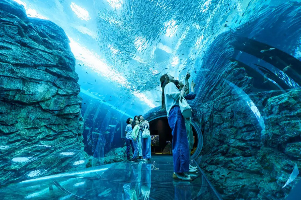 Joetsu Aquarium Umigatari