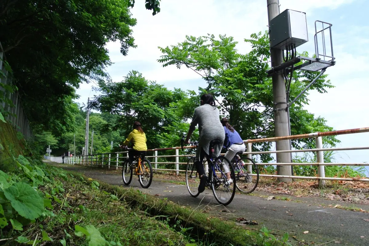 Kubiki Cycling Road