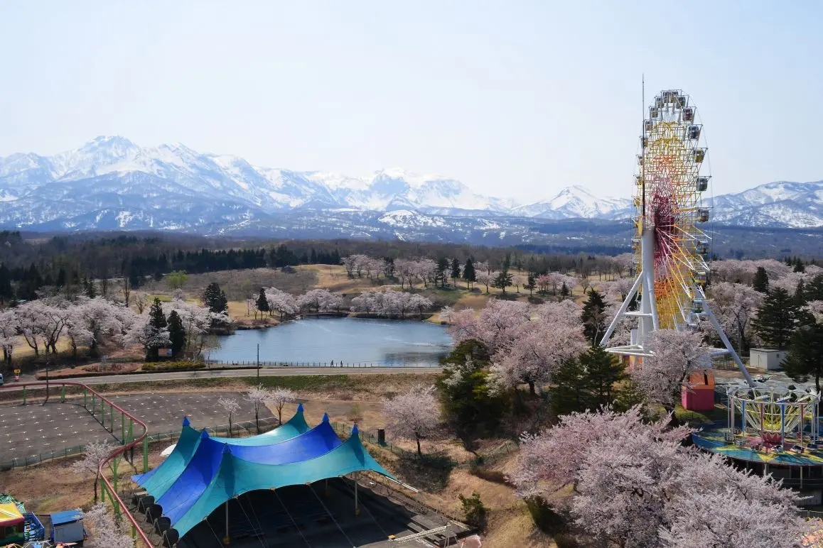 Cherry Blossoms around Matsugamine and Mt. Myoko