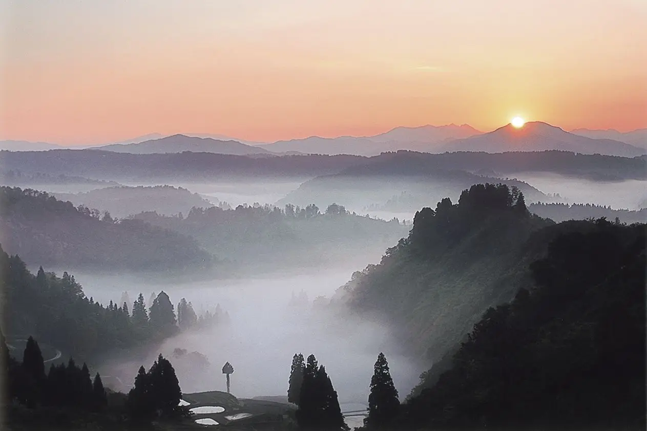 Yamakoshi Rice Terraces
