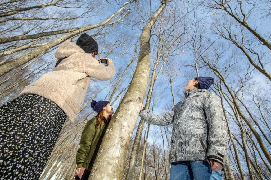 Snowshoeing in Bijinbayashi Forest