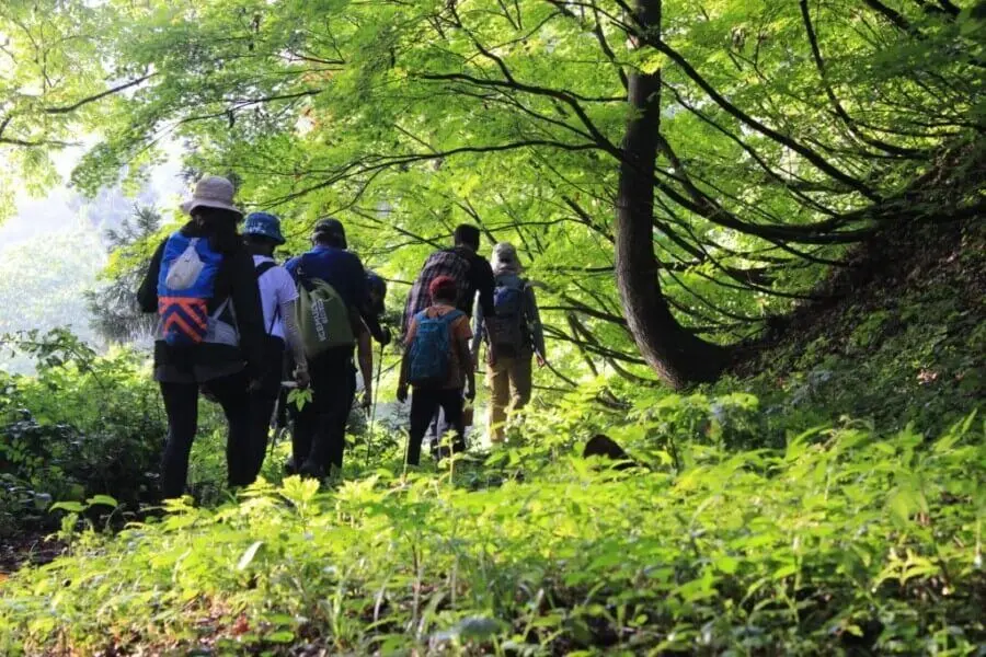 Rice Terrace Trekking