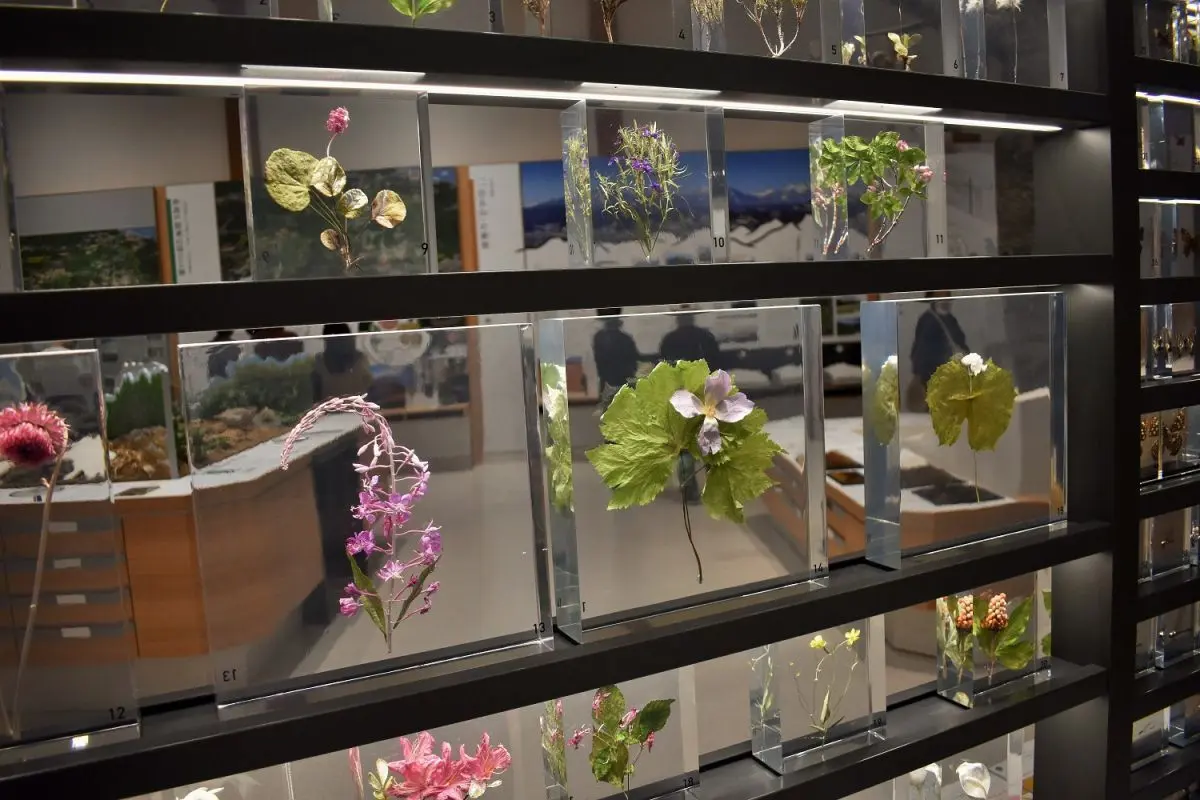 Myoko-Kogen Visitor Center