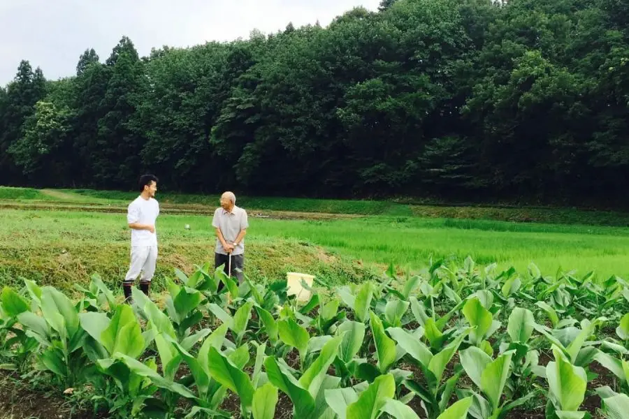 Sanjo Spice Kenkyujo