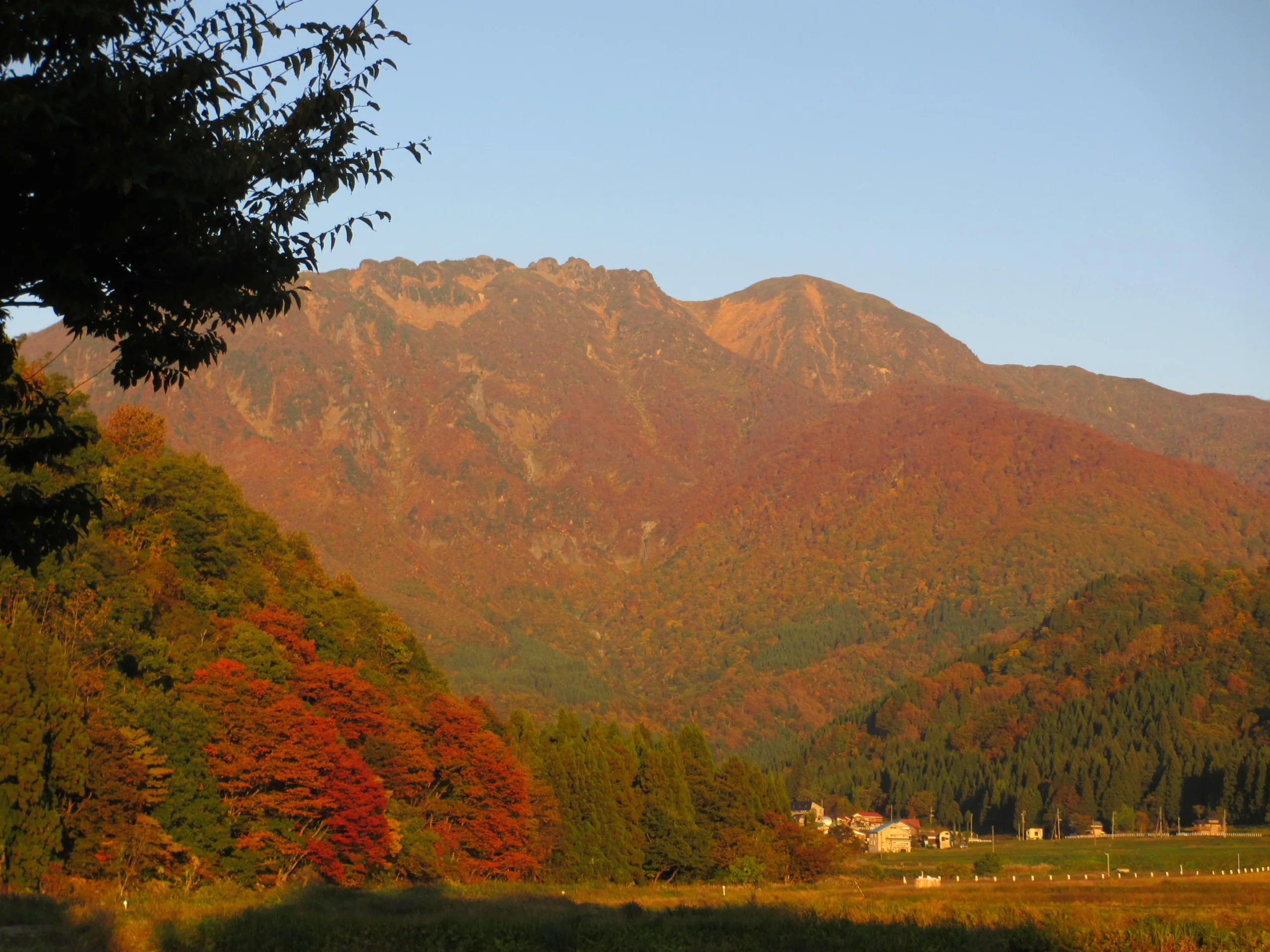 Tomioka White Museum
