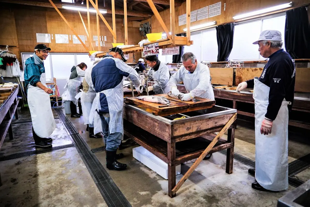 Salmon Salting Experience