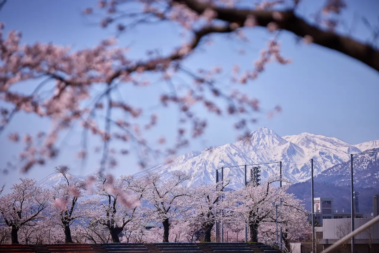 Takada Castle Site Park