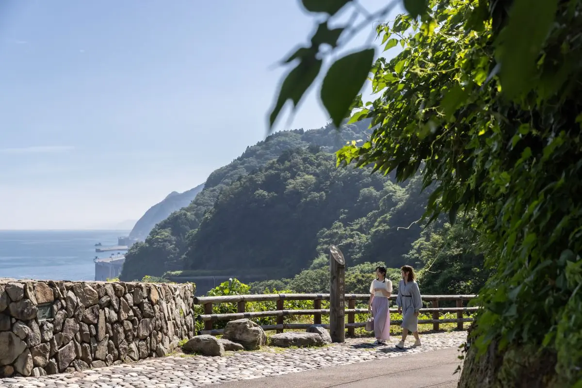 Oyashirazu-koshirazu